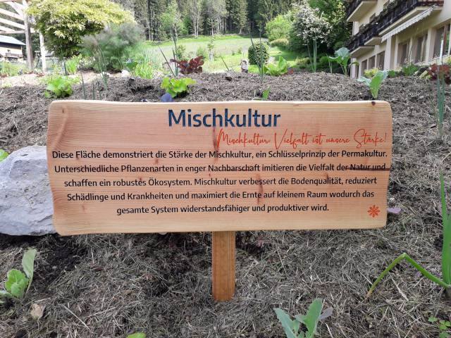 Polyculture - Strandhotel am Weissensee