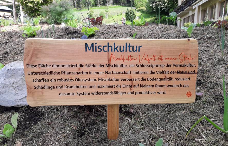 Mischkultur